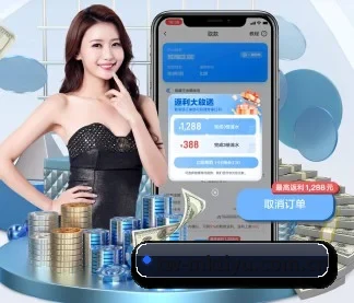 mk体育官网入口 APP
