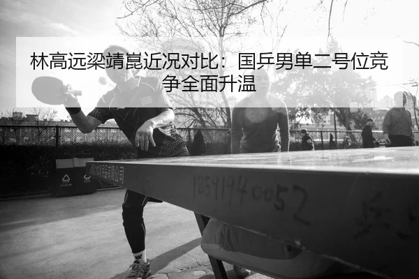 林高远梁靖崑近况对比:国乒男单二号位竞争全面升温